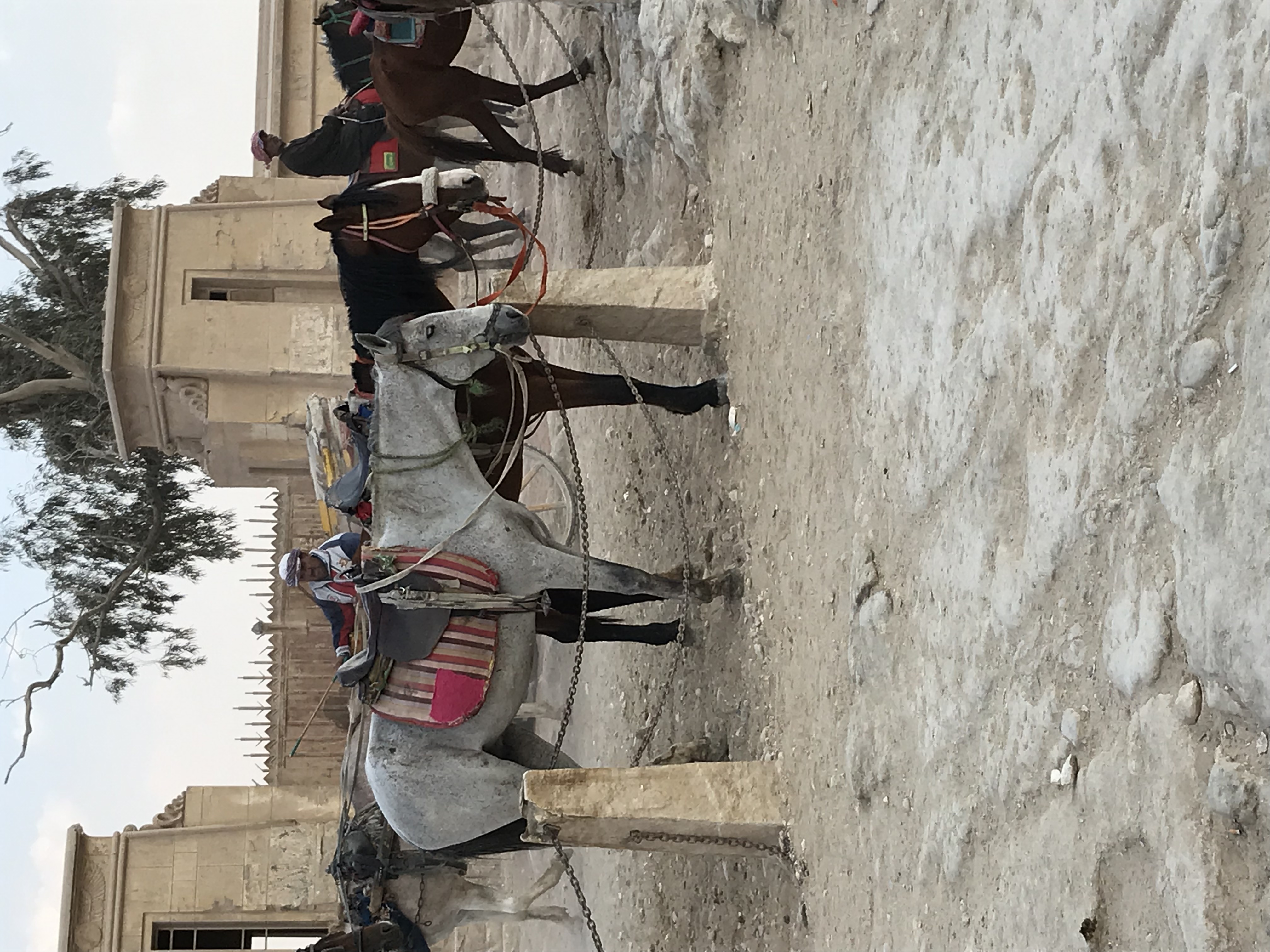 ./2018/16 - Egypt/03 - Pyramids/IMG_0785.jpg